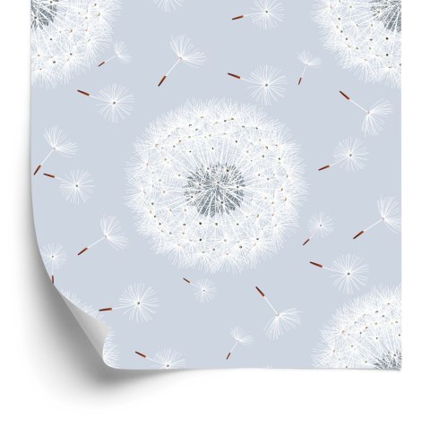 Tapeta Latające Nasiona Dmuchawca