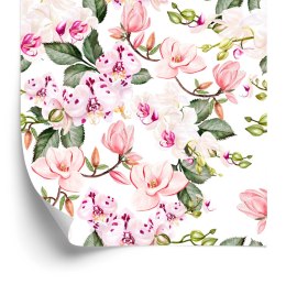 Tapeta Orchidea Storczyk Kwiaty Przyroda Do Salonu