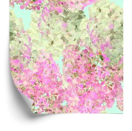 Tapeta Piękne Kolorowe Kwiaty