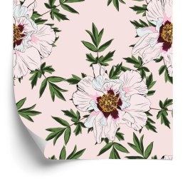 Tapeta Piękne Kwiaty Piwonii