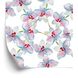 Tapeta Sypialnia Orchidee Storczyk Przyroda Natura