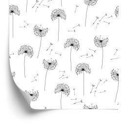 Tapeta Ulatujące Nasiona Dmuchawca