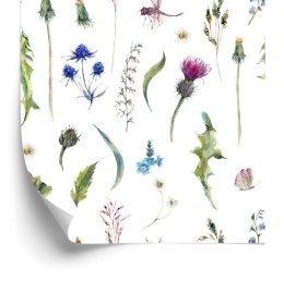 Tapeta Zioła Polne Z Motylami