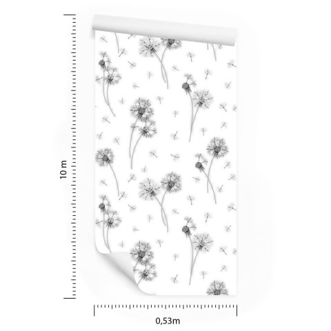 Tapeta Czarno-Białe Kwiaty Dmuchawca