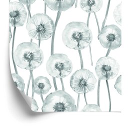 Tapeta Dmuchawce Malowane Akwarelą