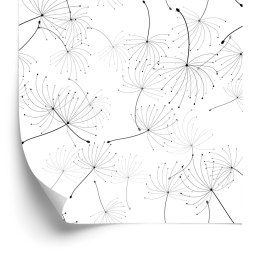 Tapeta Do Sypialni Czarno-Białe Nasiona Dmuchawca