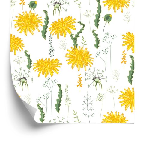 Tapeta Kwiaty Mlecza Z Roślinami Polnymi