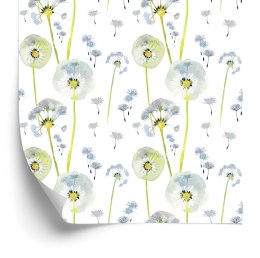 Tapeta Malowane Dmuchawce Z Nasionami