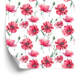 Tapeta Malowane Maki Z Liśćmi