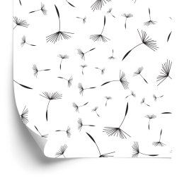 Tapeta Opadające Nasiona Dmuchawca