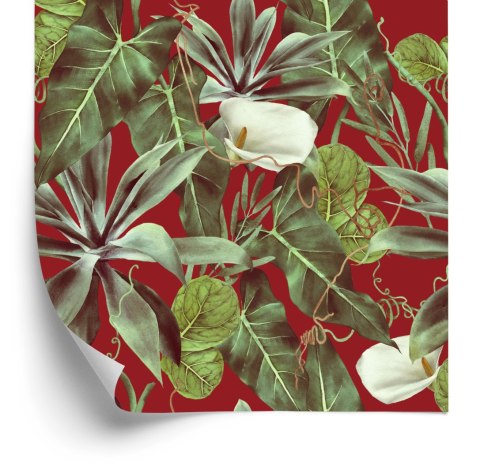 Tapeta Egzotyczne Liście