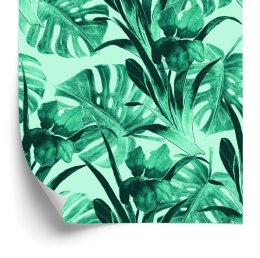 Tapeta Liście Egzotyczne Akwarela