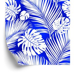 Tapeta Liście Monstera I Palmy