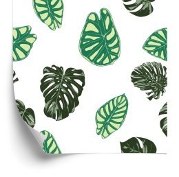 Tapeta Liście Monstery I Alokazji