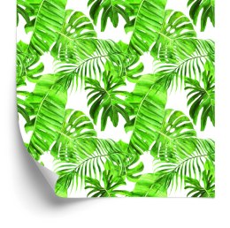 Tapeta Zielone Liście