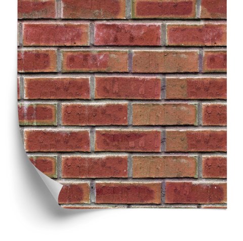 Tapeta Do Salonu Ceglana Ściana Cegły Efekt 3D