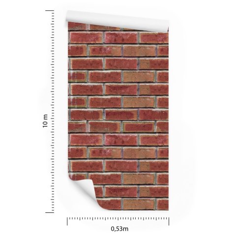 Tapeta Do Salonu Ceglana Ściana Cegły Efekt 3D