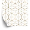 Tapeta Geometryczna - Sześciokąty