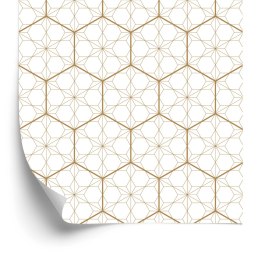 Tapeta Geometryczna - Sześciokąty