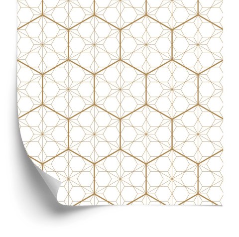 Tapeta Geometryczna - Sześciokąty