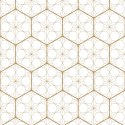 Tapeta Geometryczna - Sześciokąty