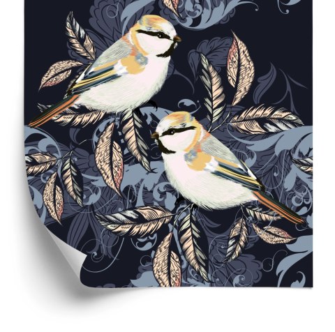 Tapeta - Kolorowe Ptaki