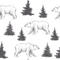 Tapeta Niedźwiedzie Polarne Drzewa