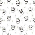 Tapeta Pandy Z Liśćmi W Tle