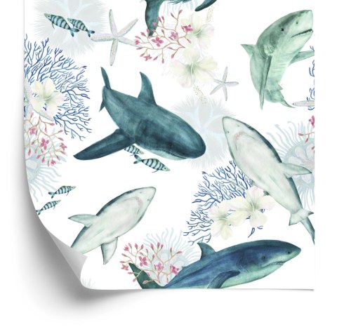 Tapeta Rekiny Na Tle Rafy Koralowej