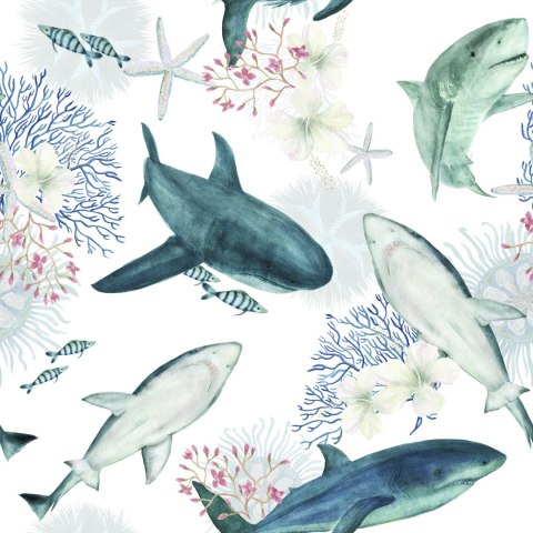 Tapeta Rekiny Na Tle Rafy Koralowej