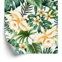 Tapeta Tropikalne Kwiaty Akwarela