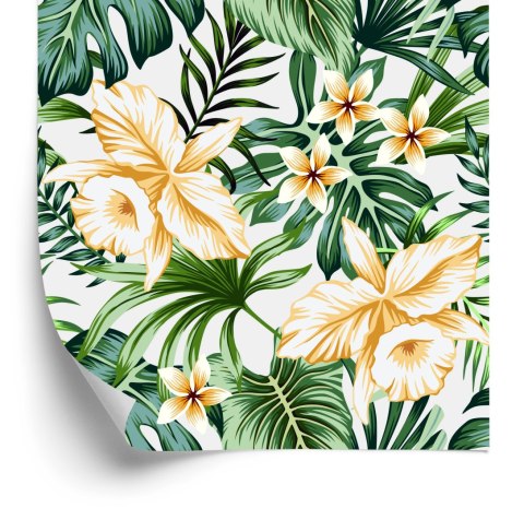 Tapeta Tropikalne Kwiaty Akwarela