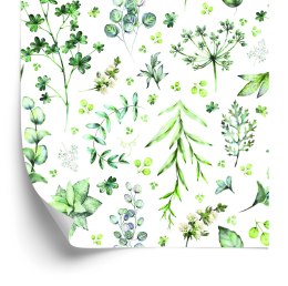 Tapeta Liście I Kwiaty Polne