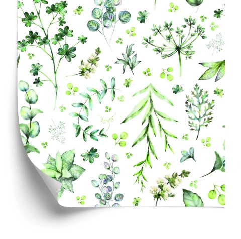 Tapeta Liście I Kwiaty Polne