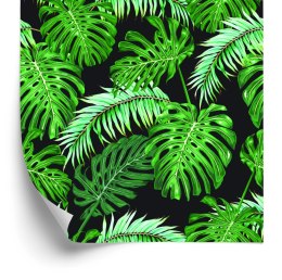 Tapeta Liście Palmy I Monstery