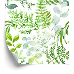 Tapeta Malowane Rośliny Polne