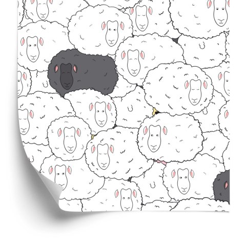 Tapeta Owcza Rodzina