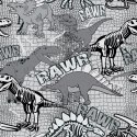 Tapeta Ścienna, Dinozaury, Do Pokoju Młodzieżowego