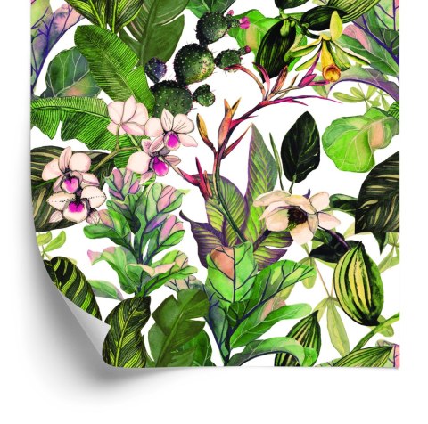 Tapeta Tropikalne Liście Z Kaktusami