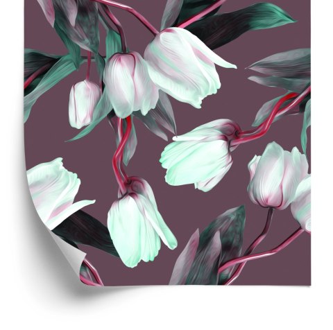 Tapeta Tulipany Z Czerwonymi Łodygami