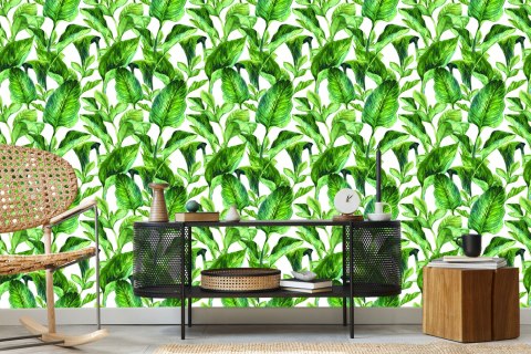 Tapeta Liście Tropikalne Akwarela