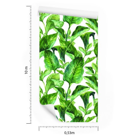 Tapeta Liście Tropikalne Akwarela