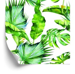 Tapeta Liście Tropikalne Dżungla