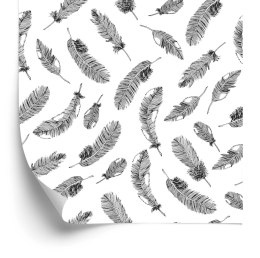 Tapeta Retro - Czarne Pióra Na Białym Tle