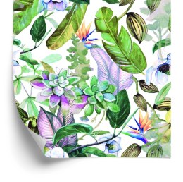 Tapeta Tropikalne Liście Kwiaty