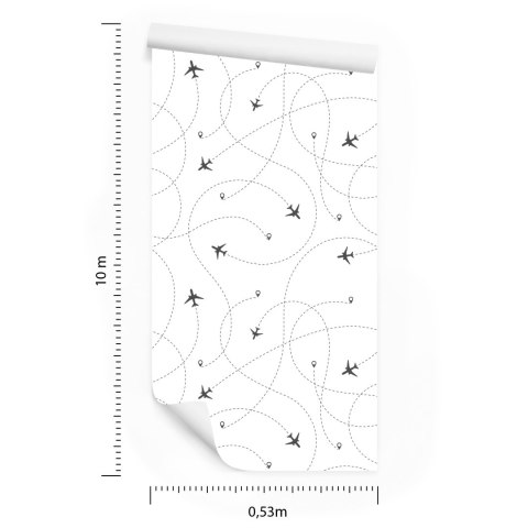 Tapeta Trasy Samolotów