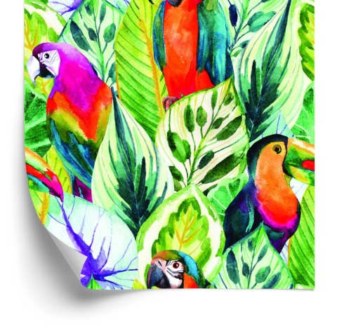 Tapeta Tropikalne Liście I Ptaki