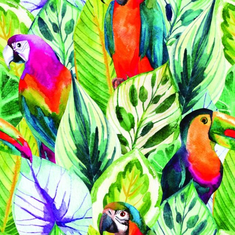 Tapeta Tropikalne Liście I Ptaki