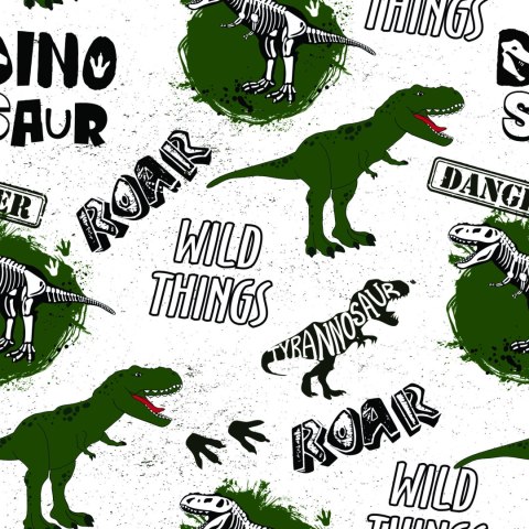 Tapeta Do Pokoju Młodzieżowego, Dinozaury