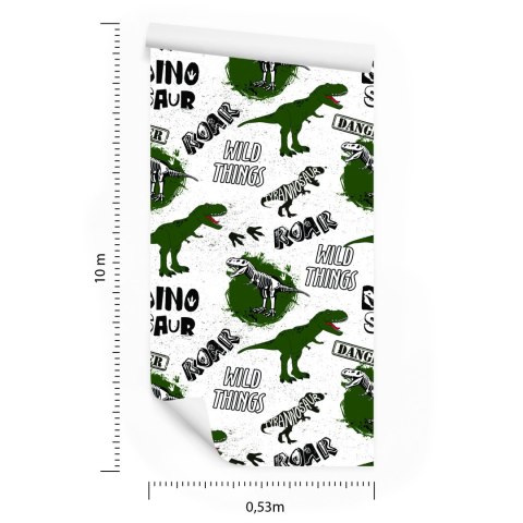 Tapeta Do Pokoju Młodzieżowego, Dinozaury